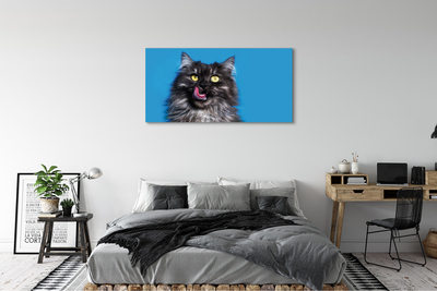 Canvas képek Oblizujący egy macska