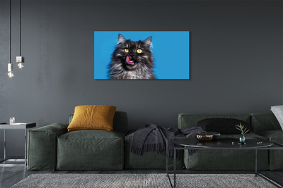 Canvas képek Oblizujący egy macska