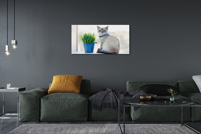 Canvas képek ül macska