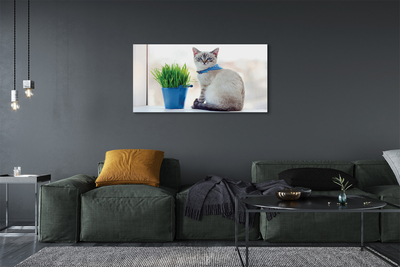 Canvas képek ül macska
