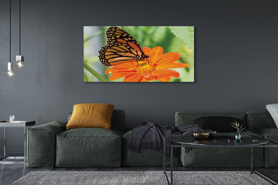 Canvas képek Virág színes pillangó