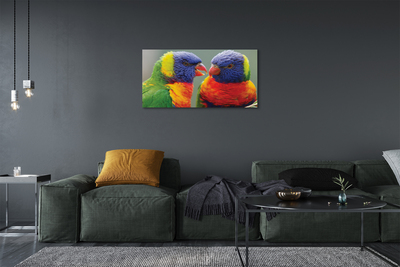 Canvas képek színes papagáj