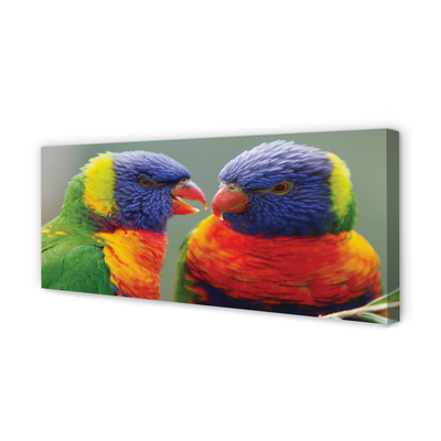Canvas képek színes papagáj