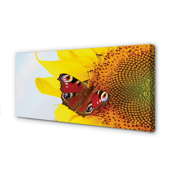 Canvas képek napraforgó pillangó