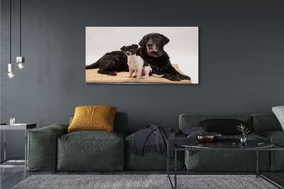 Canvas képek fekvő kutyák