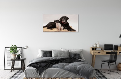 Canvas képek fekvő kutyák