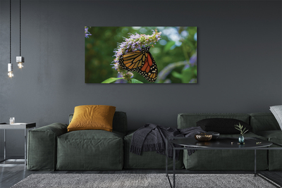 Canvas képek Virág színes pillangó