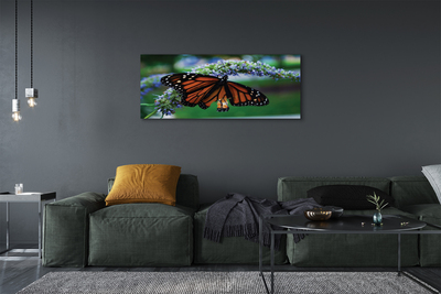 Canvas képek Pillangó a virágon