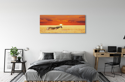 Canvas képek Zebra mező naplemente