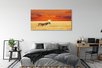 Canvas képek Zebra mező naplemente