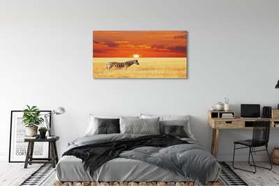 Canvas képek Zebra mező naplemente