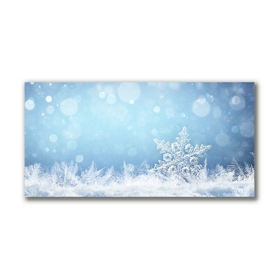 Canvas képek Hópelyhek, tél, hó