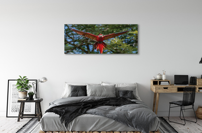 Canvas képek Ara papagáj
