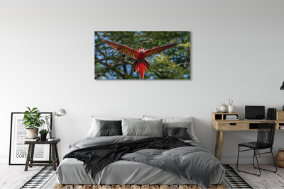 Canvas képek Ara papagáj