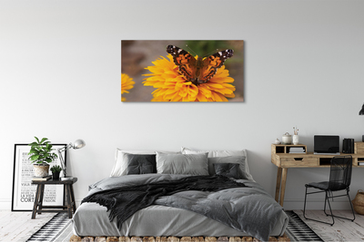 Canvas képek Színes pillangó virág