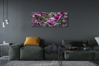 Canvas képek lila magnólia