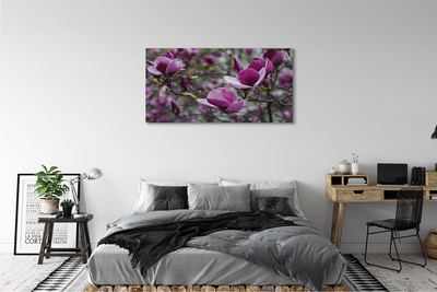 Canvas képek lila magnólia