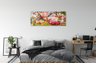 Canvas képek pink magnólia