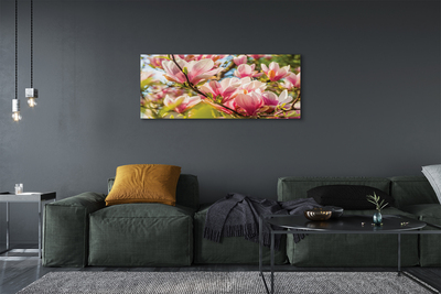Canvas képek pink magnólia