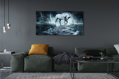 Canvas képek Forest Unicorn hold