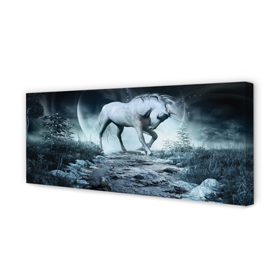 Canvas képek Forest Unicorn hold