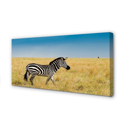 Canvas képek Zebra box