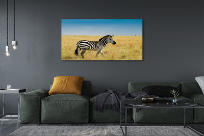 Canvas képek Zebra box