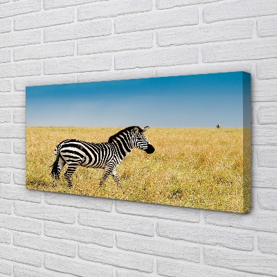 Canvas képek Zebra box
