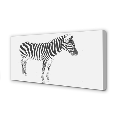 Canvas képek festett zebra