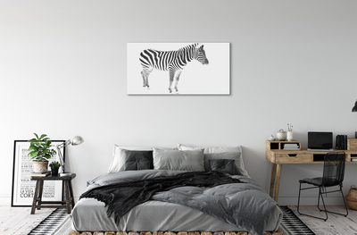 Canvas képek festett zebra