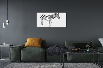Canvas képek festett zebra
