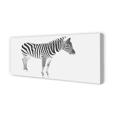 Canvas képek festett zebra