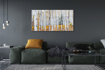 Canvas képek őszi nyírfa
