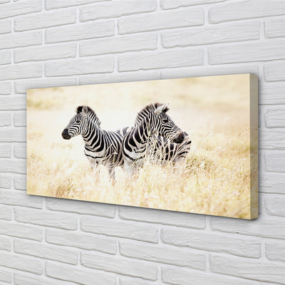 Canvas képek zebra box