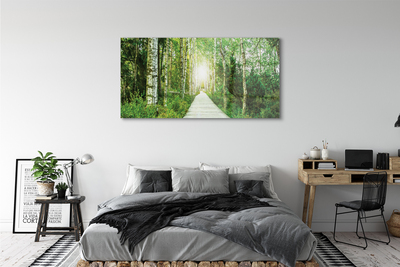 Canvas képek Nyírfa erdei út