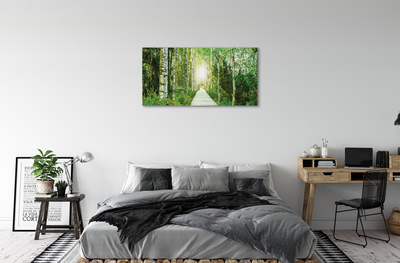 Canvas képek Nyírfa erdei út