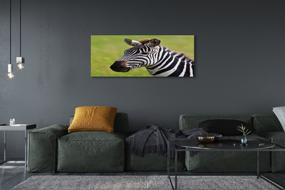 Canvas képek zebra