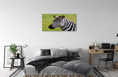 Canvas képek zebra