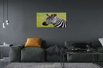 Canvas képek zebra