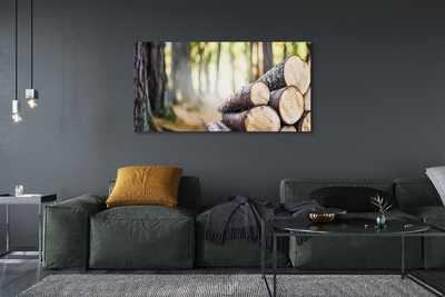 Canvas képek Wood erdő természetvédelmi