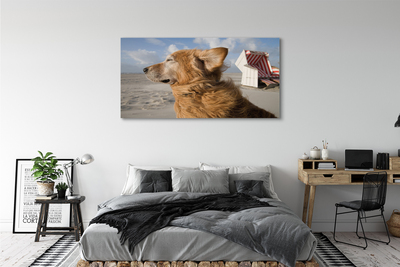 Canvas képek Barna kutya strand
