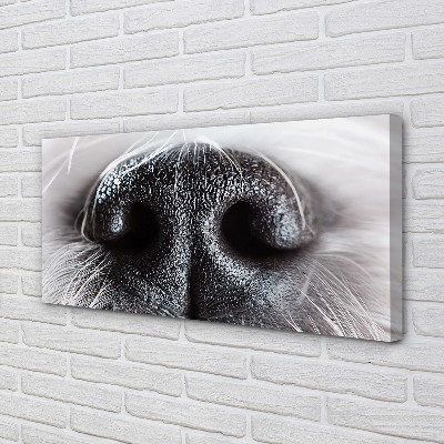 Canvas képek kutya orrát