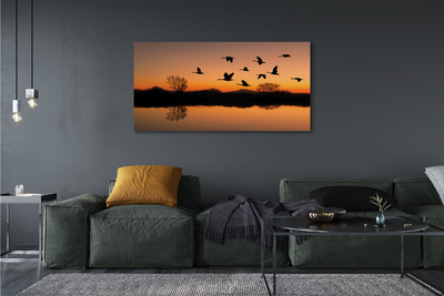 Canvas képek Repülő madarak naplemente