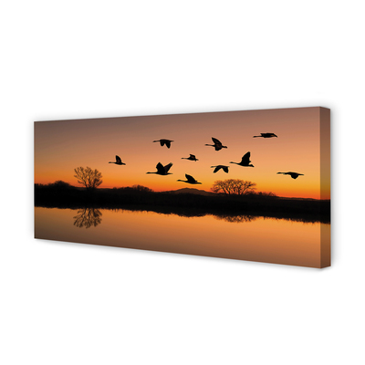 Canvas képek Repülő madarak naplemente