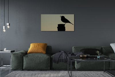 Canvas képek fekete madár