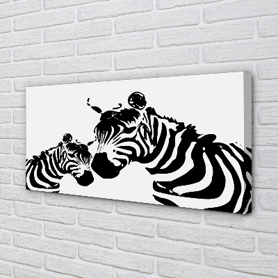 Canvas képek festett zebra