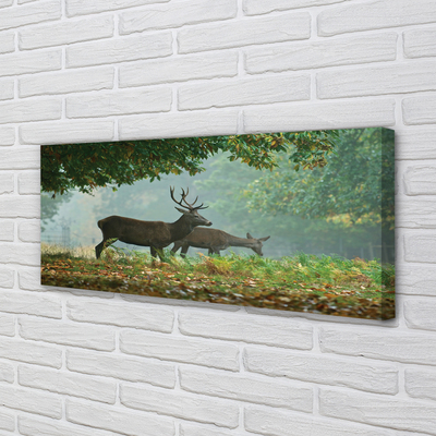 Canvas képek Deer őszi erdő