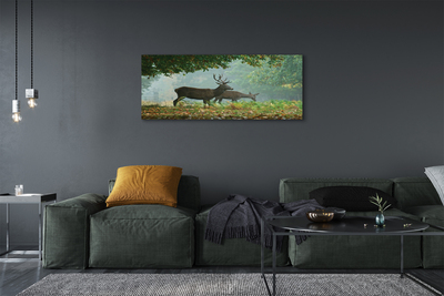 Canvas képek Deer őszi erdő