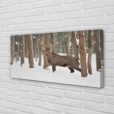 Canvas képek Deer téli erdőben