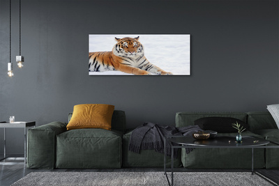 Canvas képek Tiger tél